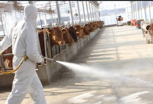 Poultry & Farms Disinfection